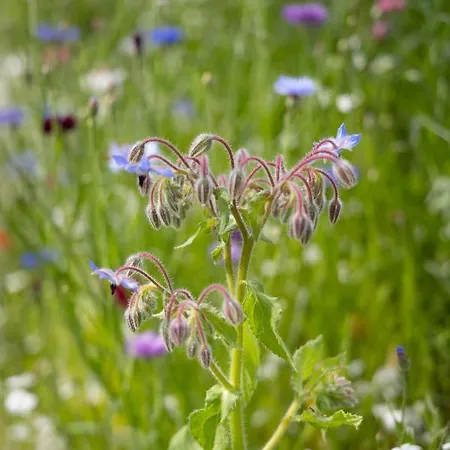 Egn Boutique Отель типа 