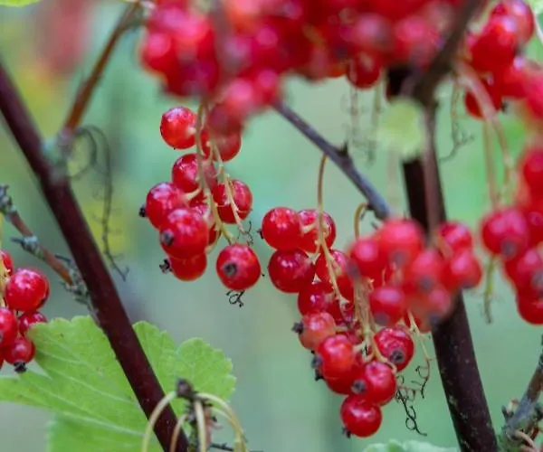 Couette-café Egn Boutique