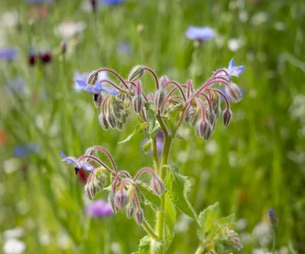 Egn Boutique Bed and breakfast Stege